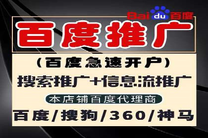 深度解析：百度竞价广告的投放效果与ROI